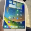 ipad pro 一代 95新 电池90 原装正品