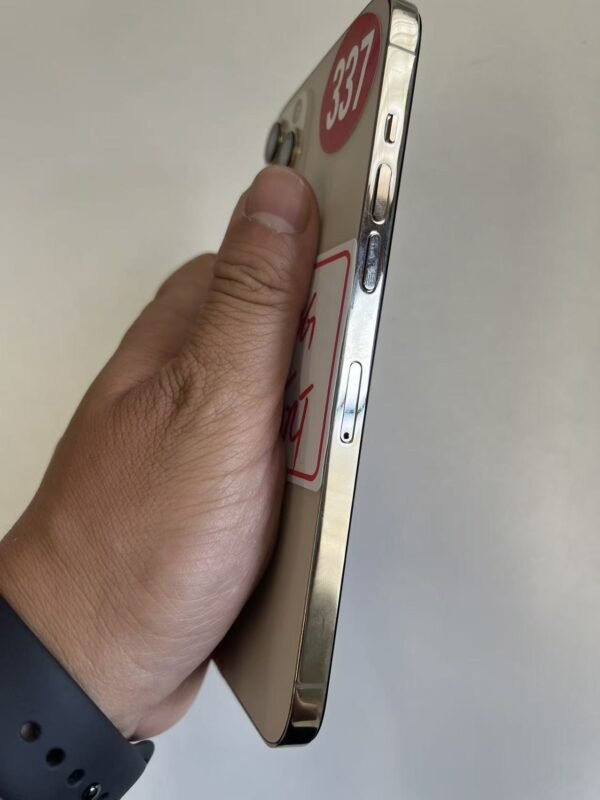 337號 Apple iPhone 12 Pro Max 256G 金色 / HP bekas Taiwan / Dien thoai cu / 二手手機