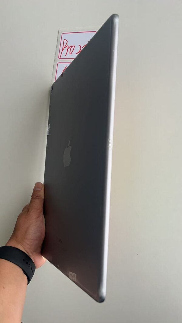 002號 Apple iPad Pro 2代 64G 灰色
