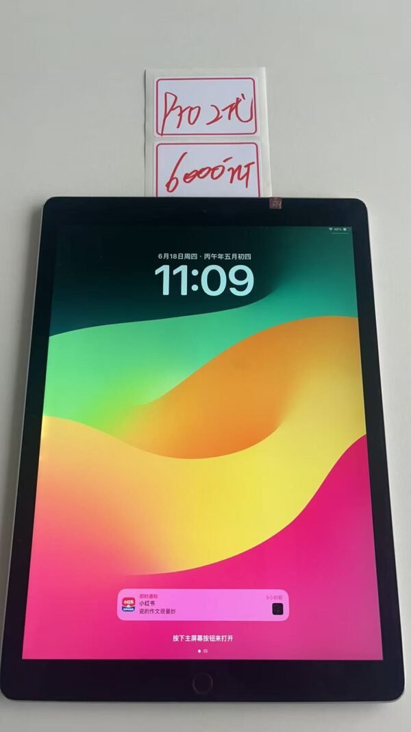 002號 Apple iPad Pro 2代 64G 灰色