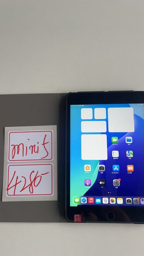 003號 Apple iPad mini 5 64G 黑色