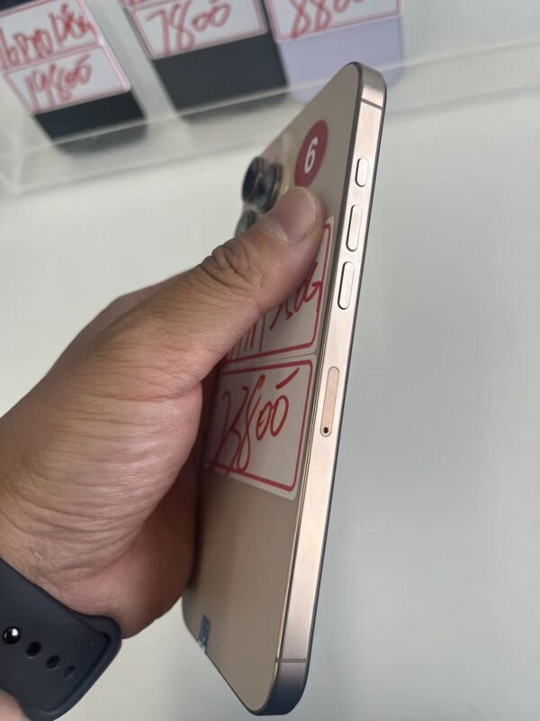 6號 Apple iPhone 16 Pro Max 256G 金色 / HP bekas Taiwan / Điện thoại cũ / 二手手機
