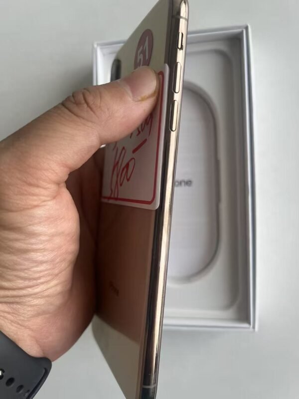 51號 Apple iPhone XS Max 256G 金色
