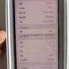 51號 Apple iPhone XS Max 256G 金色