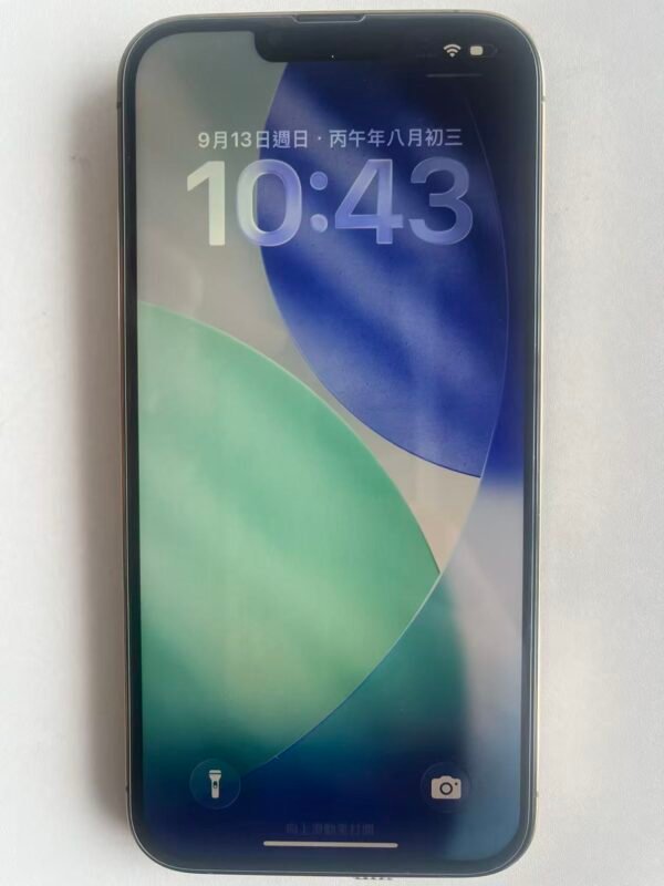63號 Apple iPhone 13 Pro Max 128G 金色