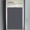 63號 Apple iPhone 13 Pro Max 128G 金色