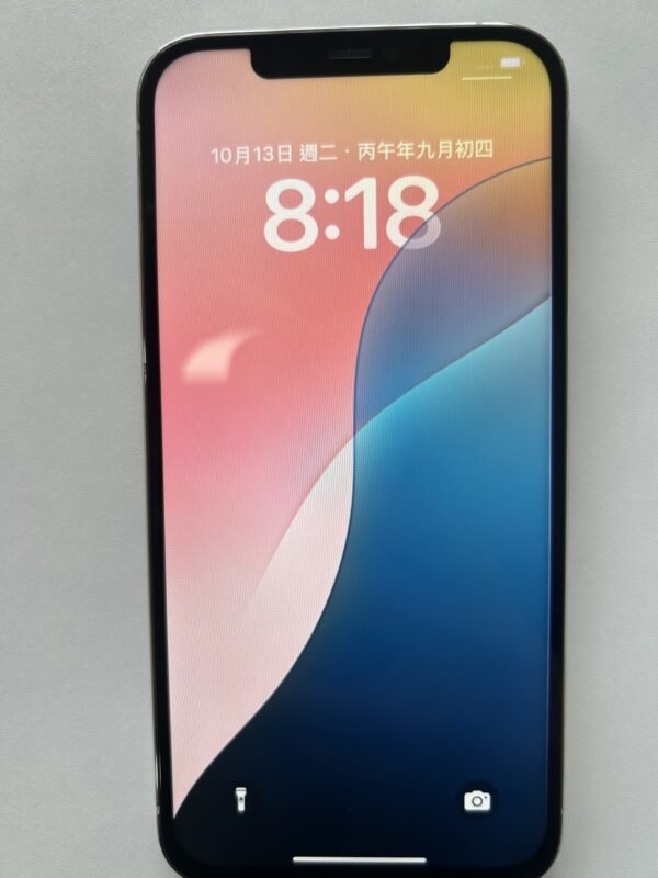 102號 Apple iPhone 12 Pro Max 128G 白色