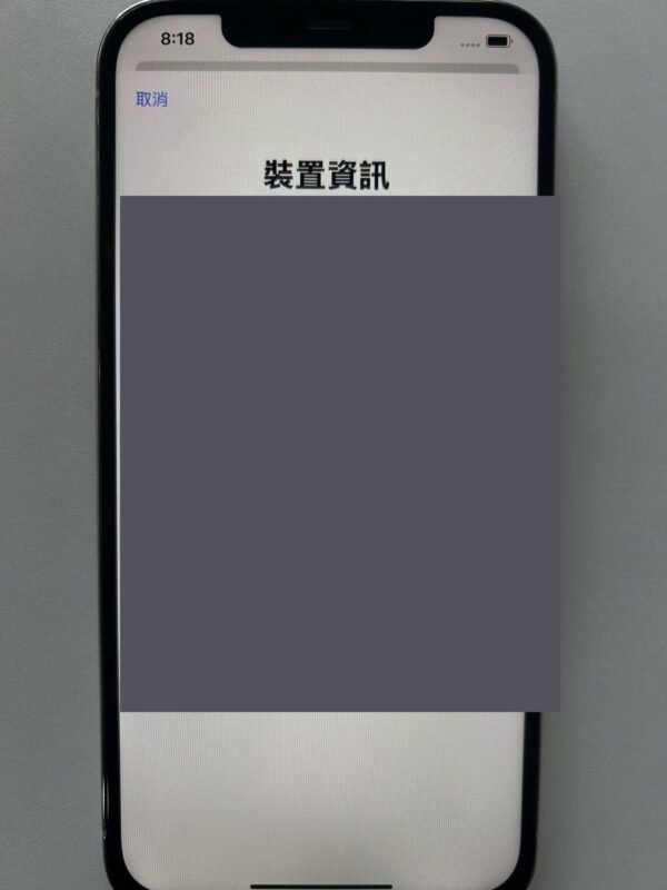 102號 Apple iPhone 12 Pro Max 128G 白色