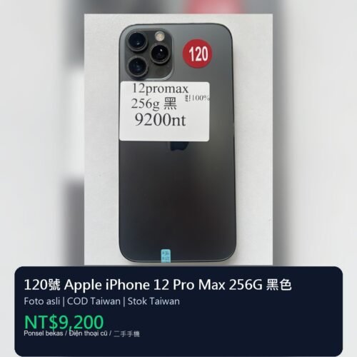 120號 Apple iPhone 12 Pro Max 256G 黑色