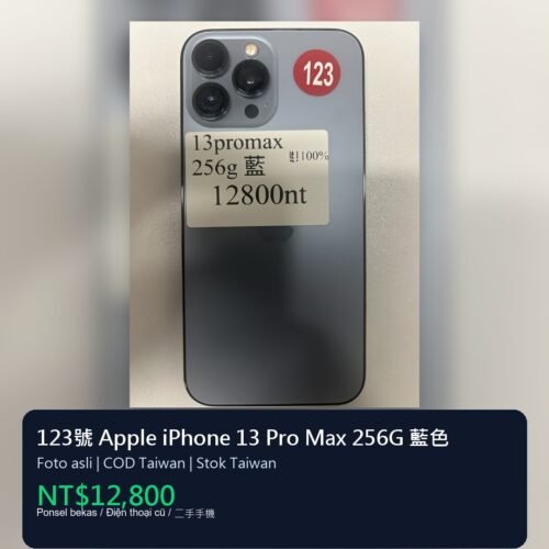 123號 Apple iPhone 13 Pro Max 256G 藍色
