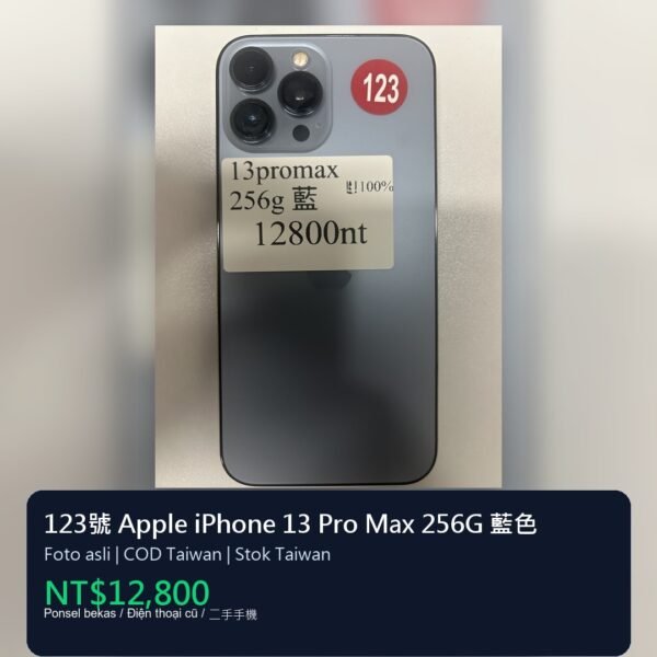 123號 Apple iPhone 13 Pro Max 256G 藍色