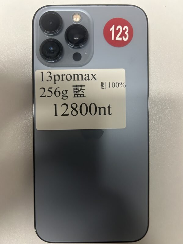 123號 Apple iPhone 13 Pro Max 256G 藍色