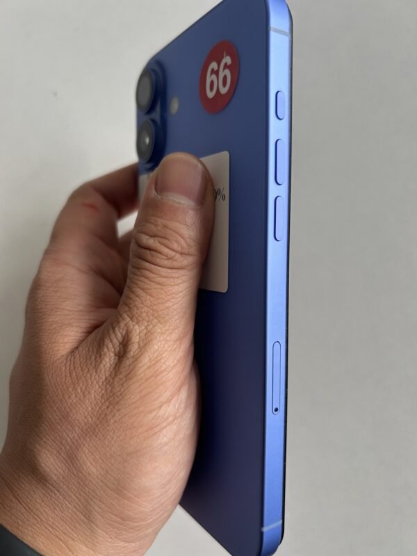 66號 Apple iPhone 16 Plus 256G 藍色