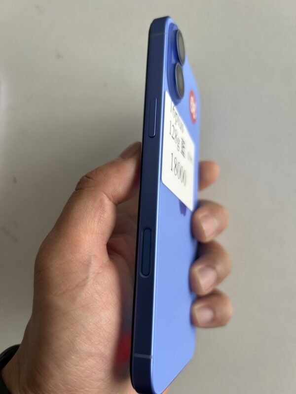 66號 Apple iPhone 16 Plus 256G 藍色